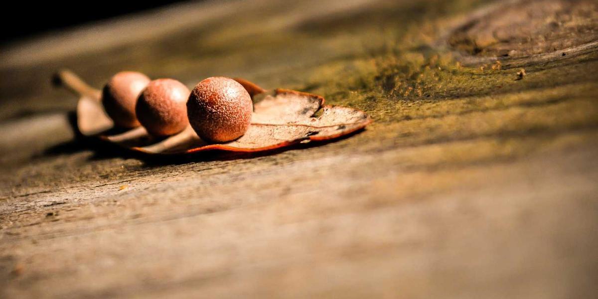 Digital PR and Online Reputation Management